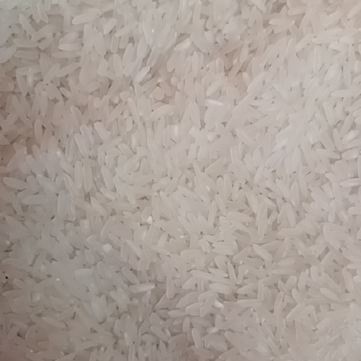 东莞市江苏
宿迁大米，涨饭，软硬兼施