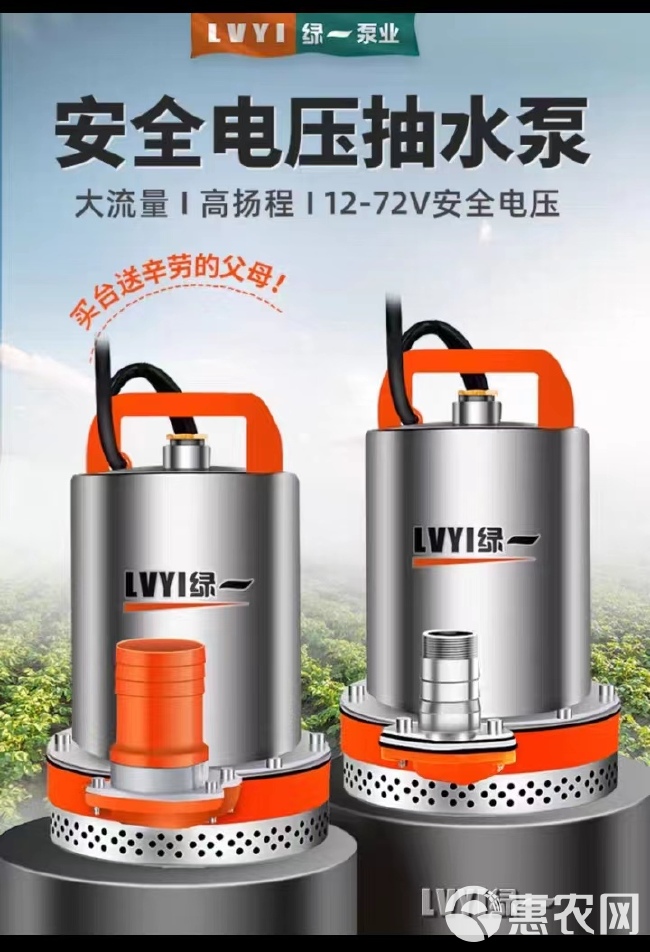 一寸二寸家用直流泵电瓶潜水泵12/24/48/60V伏抽水泵