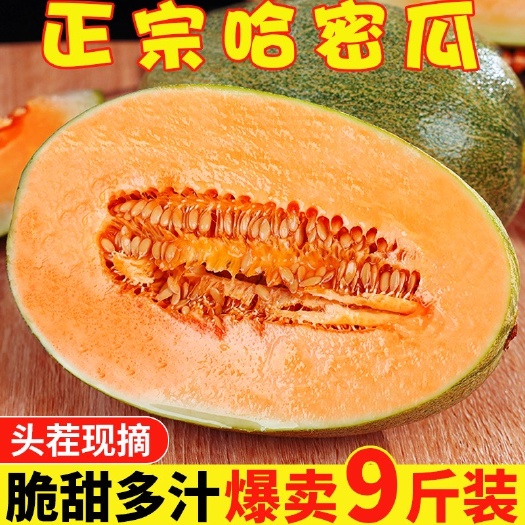 三亚海南哈密瓜9斤新鲜水果整箱新香瓜甜瓜应当季一箱网纹西州蜜瓜