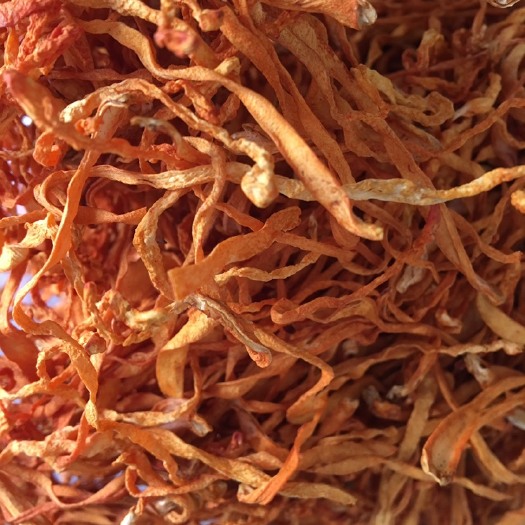 玉林虫草花