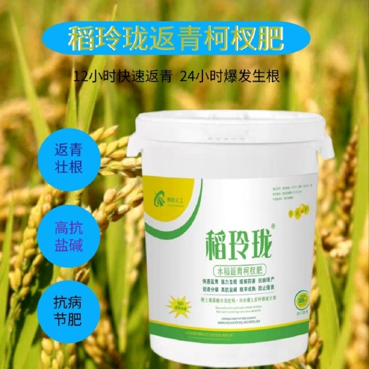 哈尔滨有机水溶肥 水稻返青柯茬肥 氨基酸水溶肥料 快速返青分蘖多快