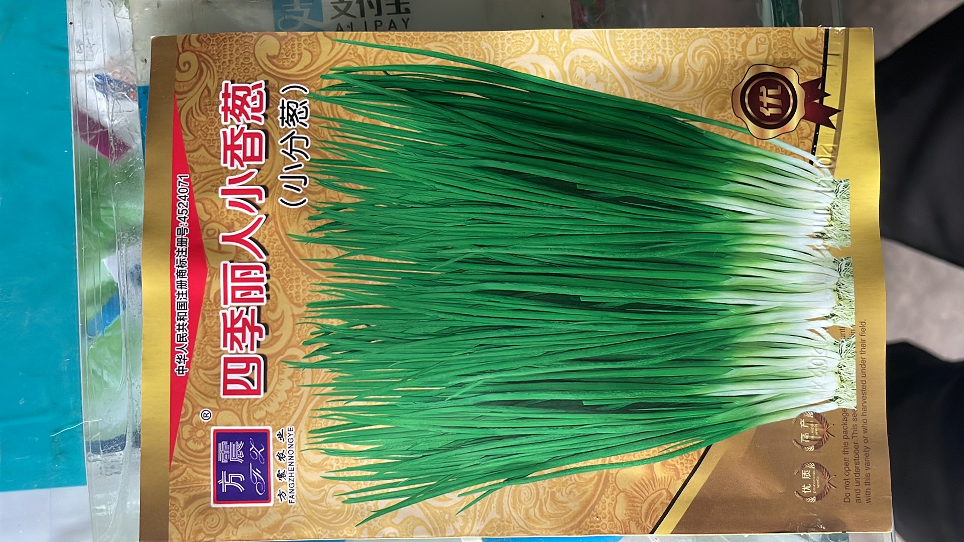 夏邑县小香葱种子 四季均可播种，抗病丰产，香味浓厚