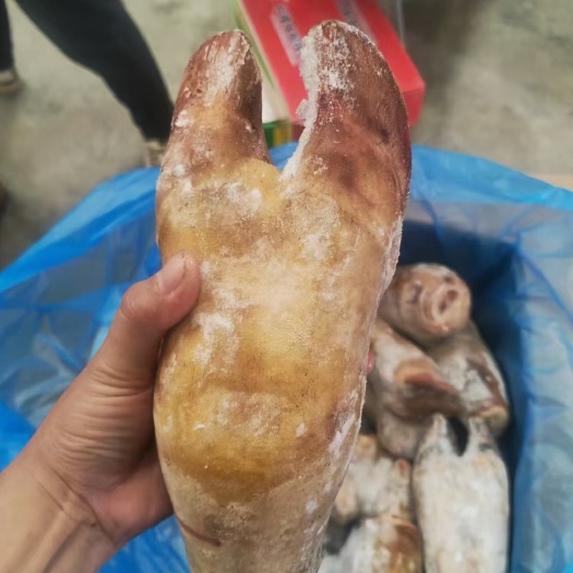 成都火烧牛蹄一件五十斤
