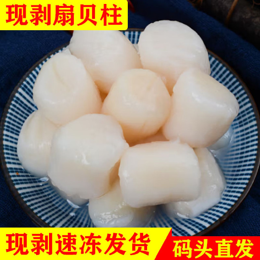 连云港新鲜速冻 新鲜扇贝柱 冷冻元贝柱瑶柱扇贝扇贝丁海鲜冷冻批