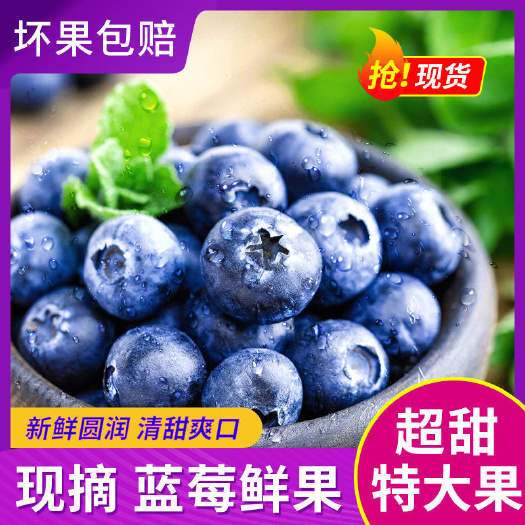 【一件代发】优瑞卡蓝莓鲜果现摘新优选鲜高山大果蓝莓现货秒发