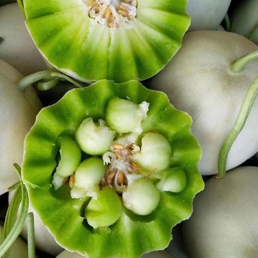 莘县精品玉菇，大量上市，