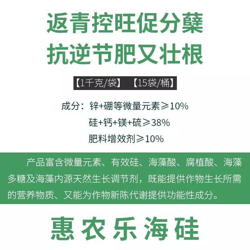 海硅水稻硅肥水稻专用颗粒硅肥料返青抗病增产促分蘖抗倒伏撒施肥