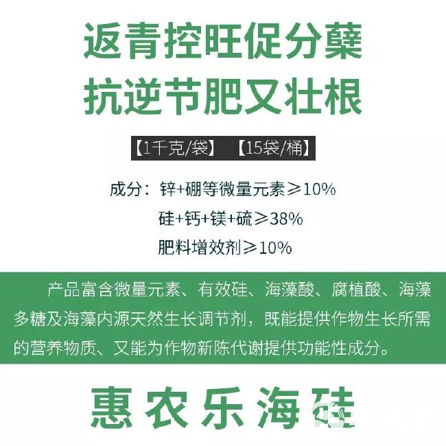 海硅水稻硅肥水稻专用颗粒硅肥料返青抗病增产促分蘖抗倒伏撒施肥