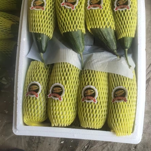 青州市山东头茬羊角蜜，口感脆甜多汁