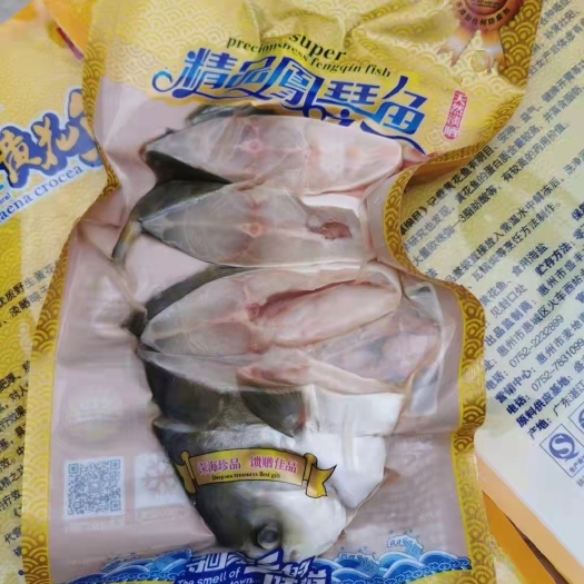 惠州风琴鱼