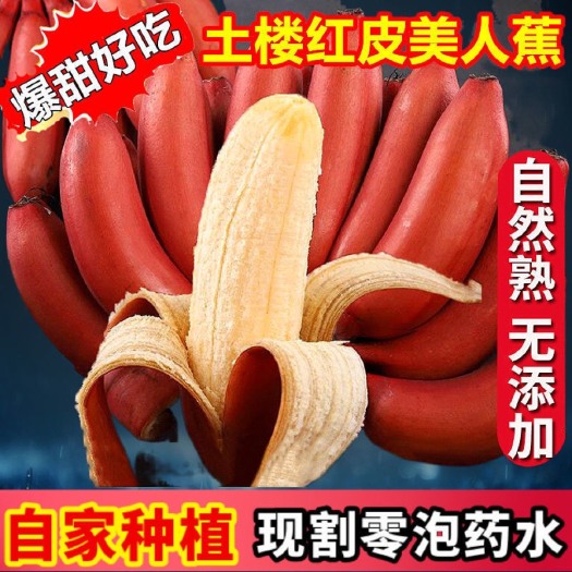 红皮香蕉新鲜美人蕉水果红肉香蕉当季红色香蕉整箱大香蕉