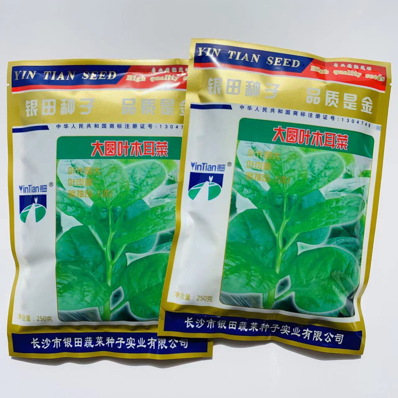 沭阳县大圆叶木耳菜种子中晚熟耐热耐湿茎叶肥嫩柔软多汁品质好