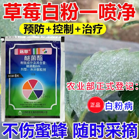 郑州50%醚菌酯黄瓜白粉病苹果树斑点落叶病农药杀菌剂水分散粒剂