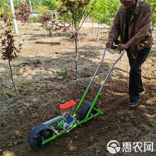 生菜芹菜菠菜播种机 小型手推式蔬菜播种机