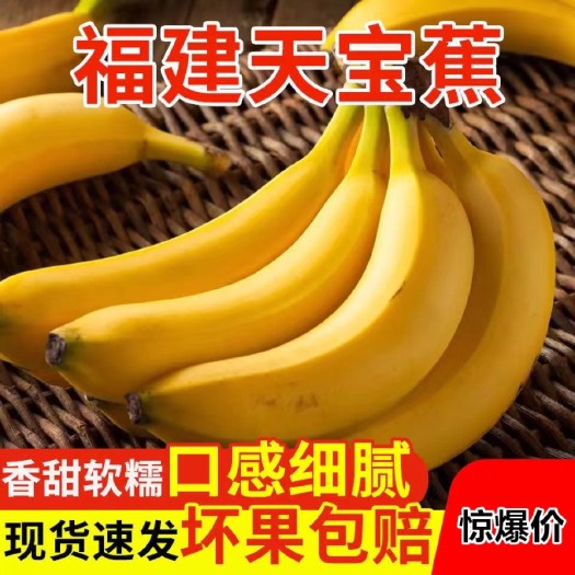 上林县现摘天宝香蕉新鲜正中福建漳州高山甜蕉皇帝蕉薄皮自然熟