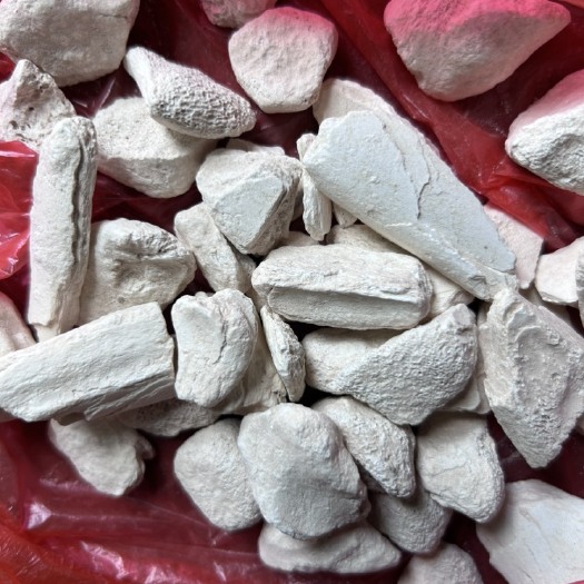 玉林龙骨，中药龙骨，龙骨粒，正品龙骨