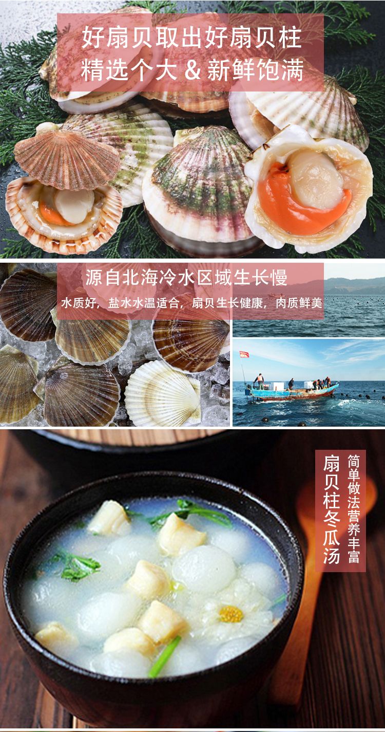 新鮮速凍 新鮮扇貝柱 冷凍元貝柱瑤柱扇貝扇貝丁海鮮冷凍批