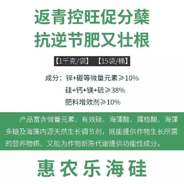 海硅水稻硅肥水稻专用颗粒硅肥料返青抗病增产促分蘖抗倒伏撒施肥