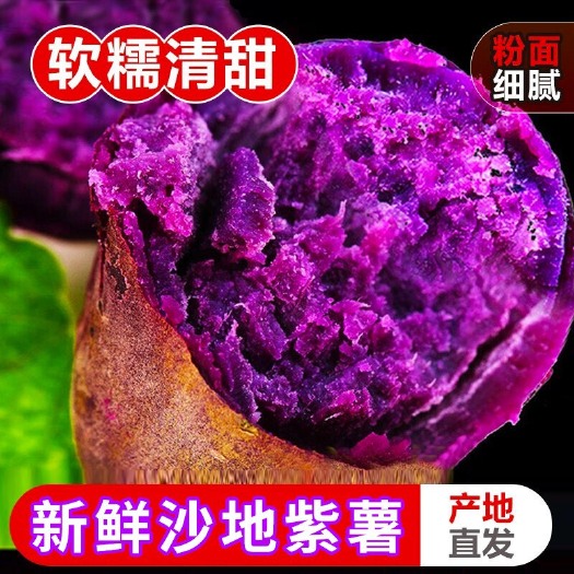 南宁【产地直发】现挖沙地紫薯10斤番薯地瓜板栗红薯农家自种红薯