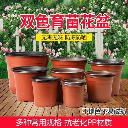 1000只 双色盆育苗盆一次性花盆塑料育苗杯多肉叶