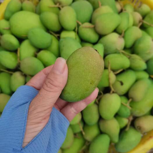 乐东县小台农