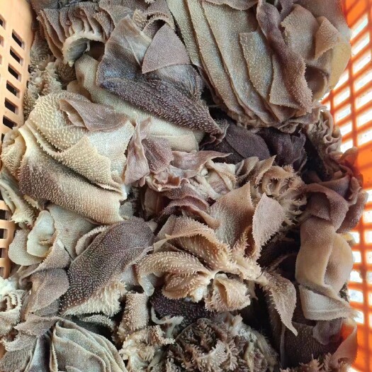 成都毛肚大边角