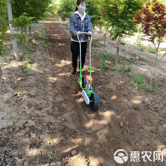 生菜芹菜菠菜播种机 小型手推式蔬菜播种机