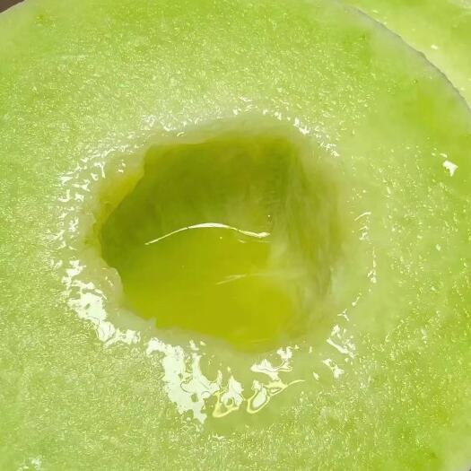 南汇玉菇甜瓜