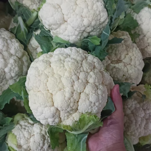 金堂县散花