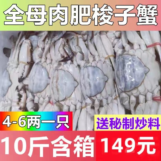 连云港梭子蟹新鲜冷冻公蟹批发产地直发螃蟹海鲜大号公蟹梭子蟹母蟹