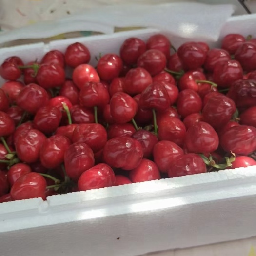绛县樱桃