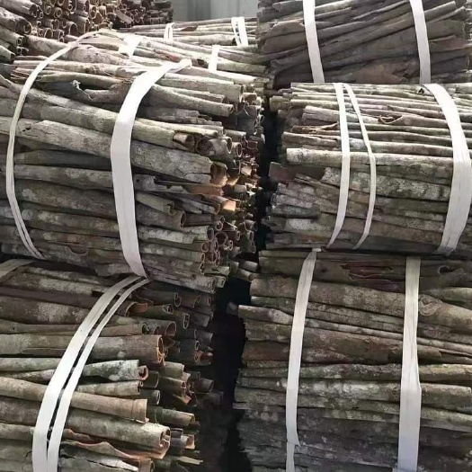 广南县越南桂皮