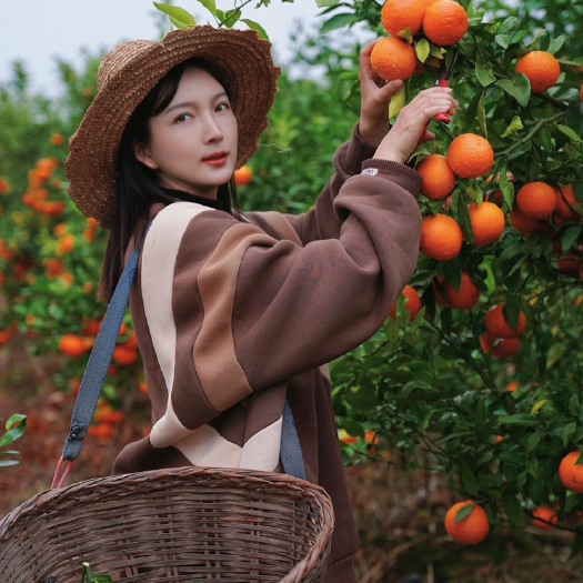 景东县云南沃柑现摘现发，电商发货支持一件代发，60～70果