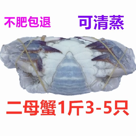 梭子蟹 母蟹梭子蟹螃蟹海鲜冷冻发货肉肥香辣蟹飞蟹白蟹