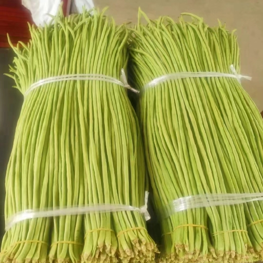 勐腊县豇豆