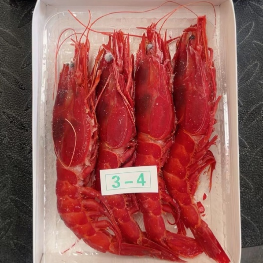上海红魔虾