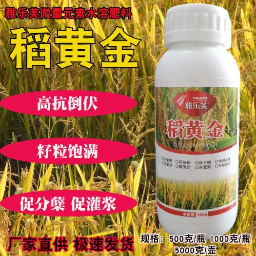 荥阳市稻黄金水稻专用叶面肥增产增收促分蘖灌浆肥抗倒伏厂家直发