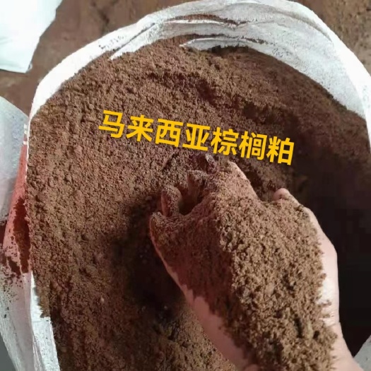 石家庄棕榈粕，马来西亚，印度尼西亚
