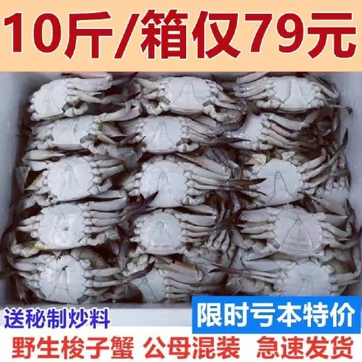 连云港梭子蟹新鲜冷冻蟹飞蟹公蟹母蟹香辣蟹螃蟹海鲜水产包邮净重7斤
