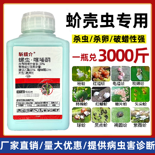 潍坊蚧壳虫介壳虫专用农药杀虫剂螺虫噻嗪酮螺虫乙酯果园果树柑橘树