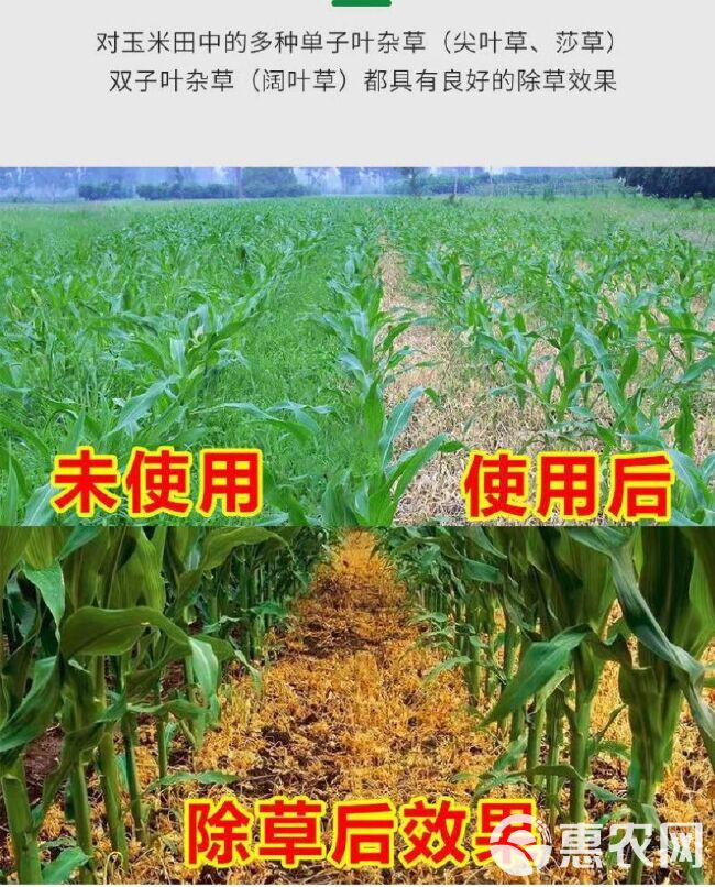 玉米苗后除草剂玉米除草剂36%硝烟莠去津禾阔玉米一年生杂草