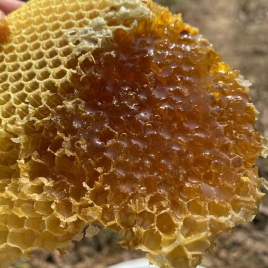 德庆县野蜂蜜 深山土蜂蜜采集百花蜜，无加物