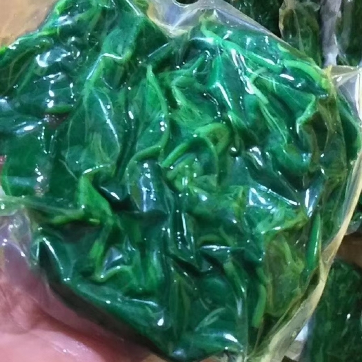 开平市桑叶（冷冻）