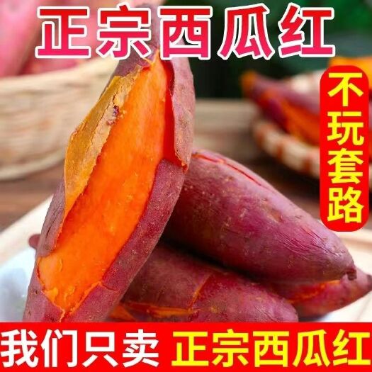 【超甜】沙地西瓜红蜜薯糖心板栗薯红薯