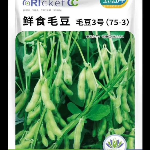 无锡毛豆种子 特早熟大粒菜毛豆种子