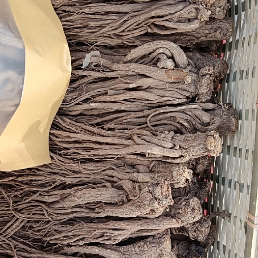 包头岷当归 最低批发价，货品优质，药材道地，无硫磺，健康