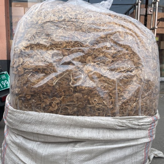 郑州大包原厂茶树菇