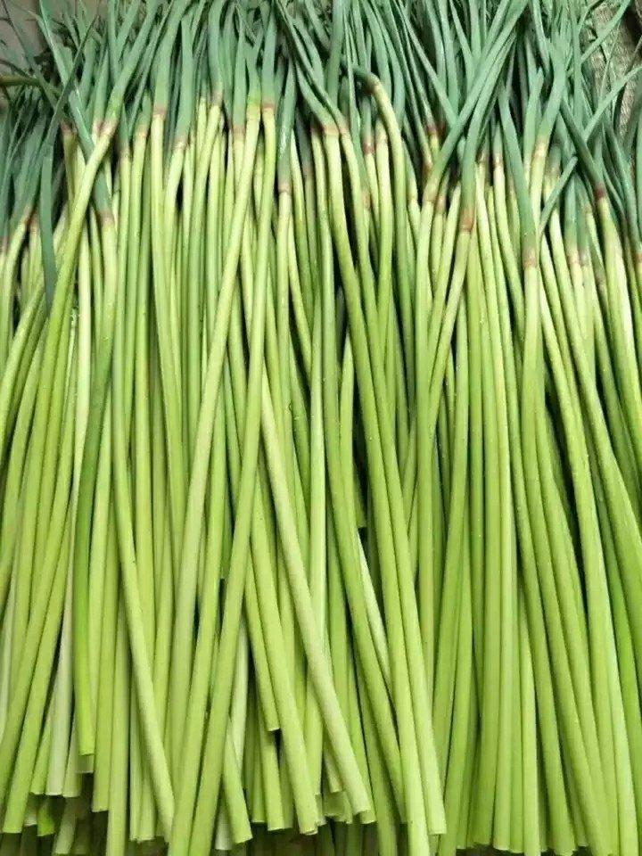 蒜苔