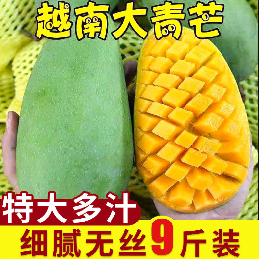 南宁越南芒果大青芒【一件代发】