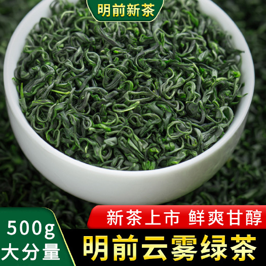深圳2023高山云雾茶500g